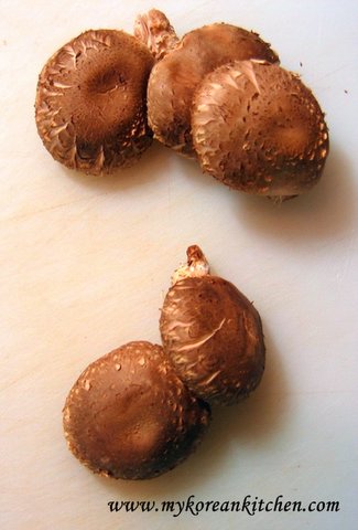 fresh shiitake mushroom Shiitake mushroom2.jpg