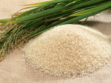 How to Make Perfect Korean Steamed Rice (Step.1 : What is good rice?) | MyKoreanKitchen.com