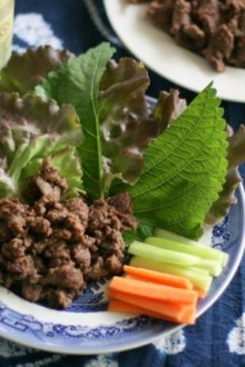 Kangaroo Meat Bulgogi 1