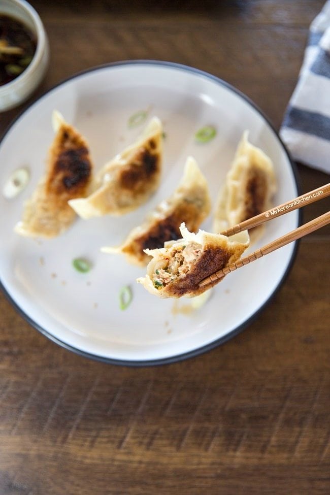 Kimchi Mandu | MyKoreanKitchen.com