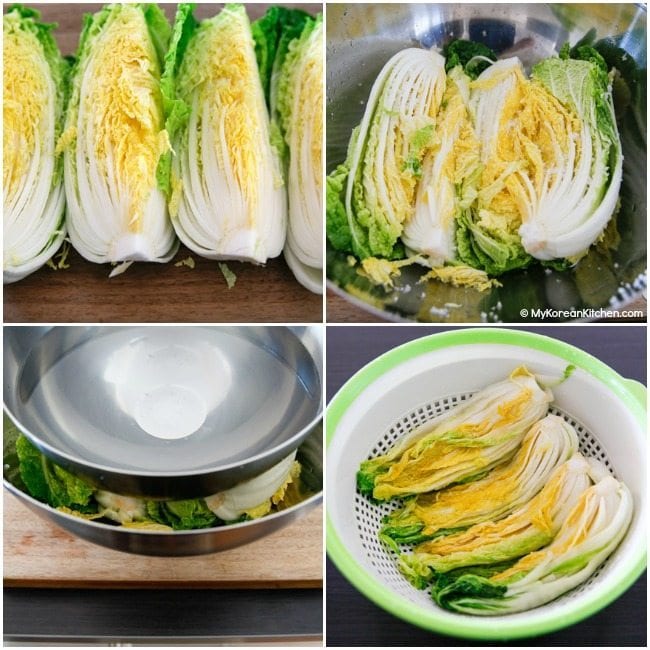 Pickling cabbage for Kimchi