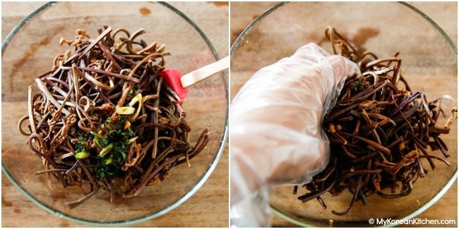 Seasoning gosari (fernbrake)