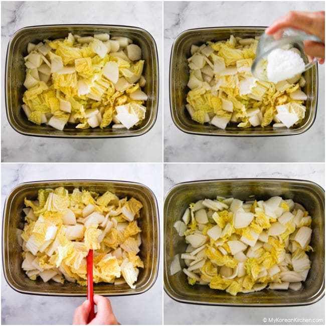 Pickling radish and cabbage in a stainless steel container.